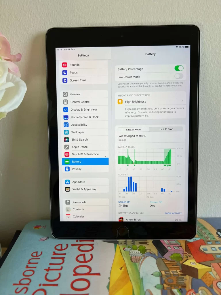 iPad Battery Percentage