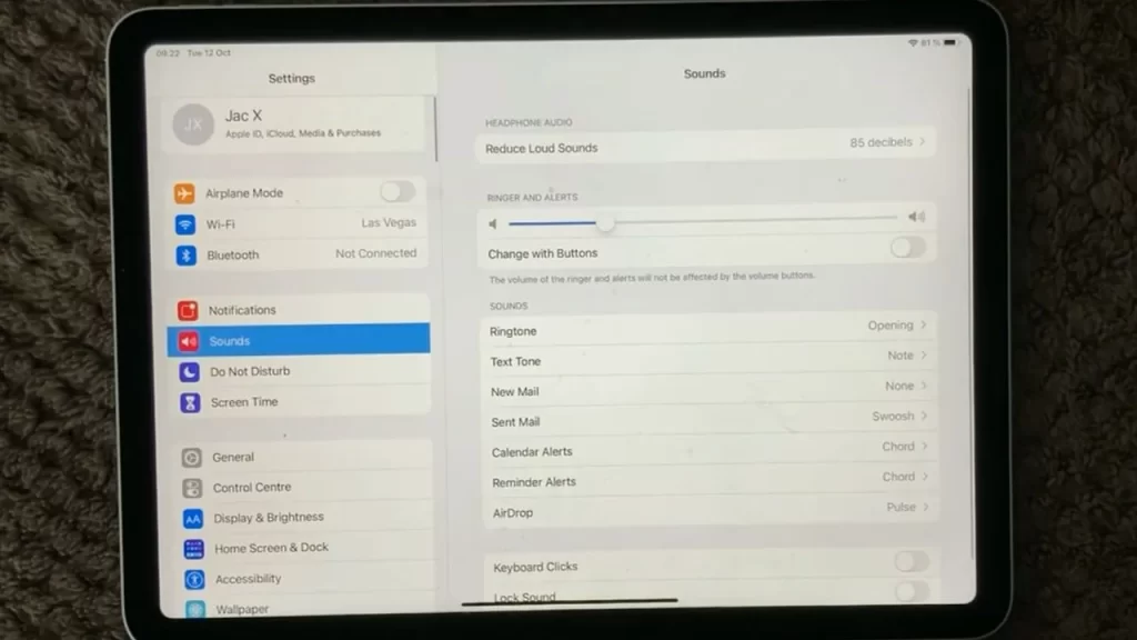 Check iPad's Sound Settings